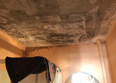Dégâts des eaux moisissure plafond salle de bain AVANT